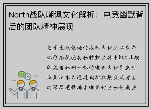 North战队嘲讽文化解析：电竞幽默背后的团队精神展现