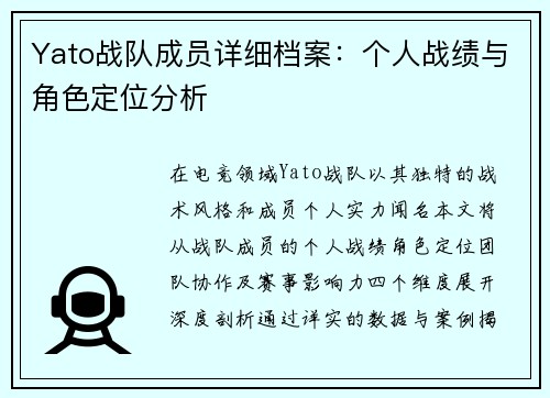 Yato战队成员详细档案：个人战绩与角色定位分析